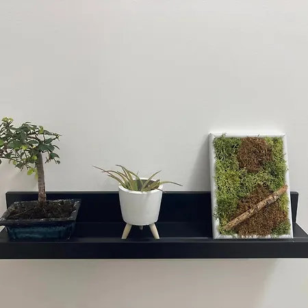 Apartment Via Gaeta